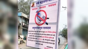 Pune: PMC Increases Awareness Efforts Against Feeding Pigeons in Public Spaces Over Health Risks