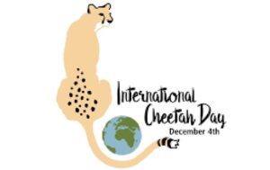 International Cheetah day