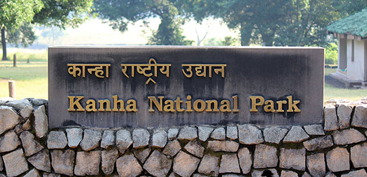 Kanha-National-Park