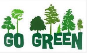 Pune: Mahavitaran’s ‘Go-Green’ Scheme Gains Popularity, Over 2 Lakh Customers Join In Three Months