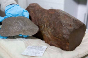 Man Mistakes Rock for Gold, Discovers Ancient Meteorite Worth More