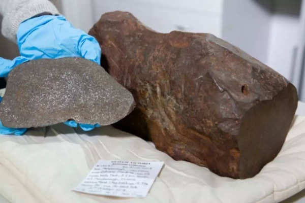 Man Mistakes Rock for Gold, Discovers Ancient Meteorite Worth More