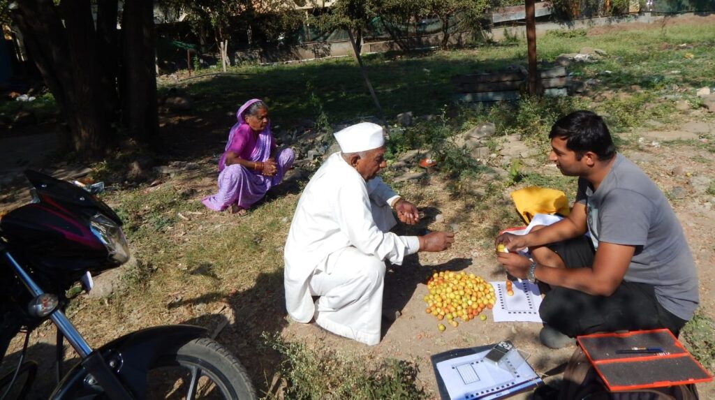 Pune Baneri Bor, A Rare Fruit Tree, Faces Extinction Due To Pollution And Urbanization