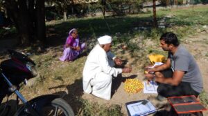 Pune Baneri Bor, A Rare Fruit Tree, Faces Extinction Due To Pollution And Urbanization