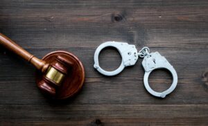 Pune Police Nab Woman Suspected of Running Rs 4 Crore Phishing Scheme Against Builder