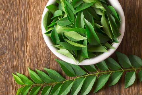 The Incredible Health Benefits of Eating Curry Leaves on an Empty Stomach