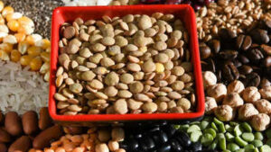 The Reasons Behind Brahmin's Choice to Skip Masoor Dal