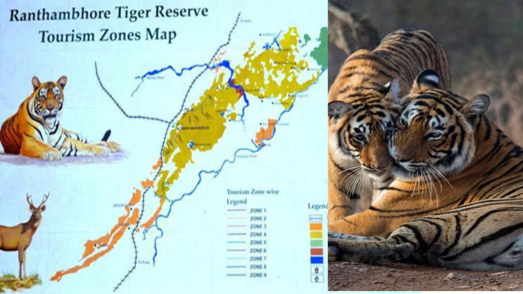 Ultimate Guide to Tiger Sightings Exploring Ranthambore's Safari Zones 1-10