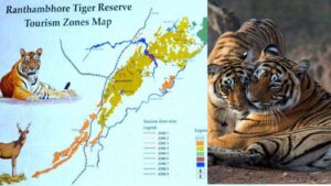 Ultimate Guide to Tiger Sightings Exploring Ranthambore's Safari Zones 1-10