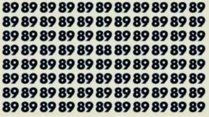 Optical Illusion: Can You Spot the 88 in Just Six Seconds?