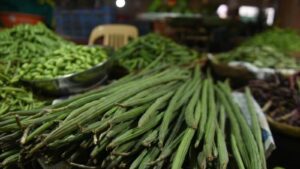 Sevga (Drumstick) Prices Skyrocket in Pune: Rates Cross ₹500 Per Kg Amid Scarce Supply