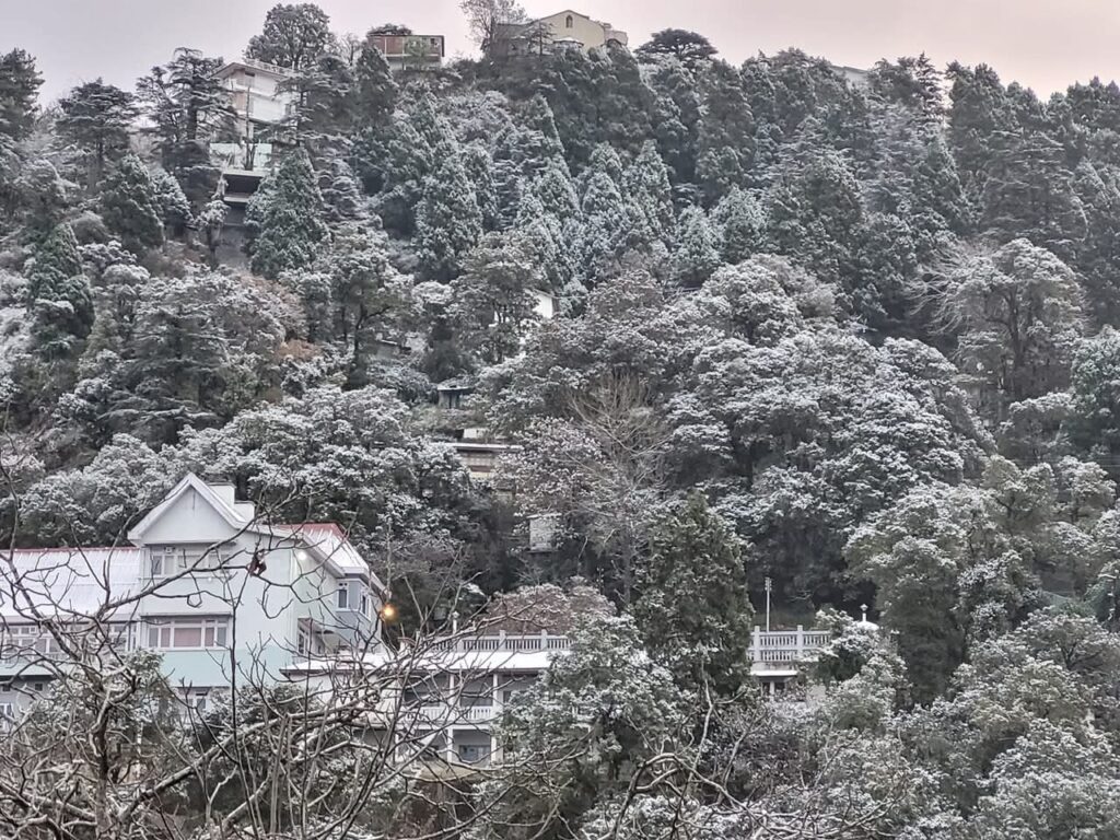 A Picturesque Transformation: Shimla Sees First Snowfall of the Season in Early December After Decades