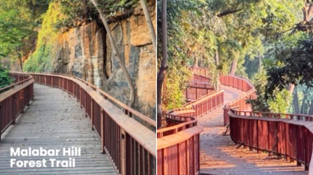 Mumbai to Launch First Elevated Forest Walkway at Malabar Hill by New Year