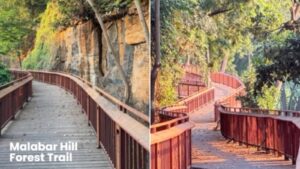 Mumbai to Launch First Elevated Forest Walkway at Malabar Hill by New Year