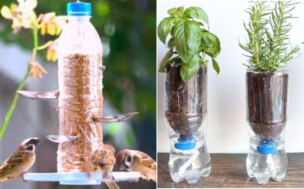Don't Throw It Out! Creative Ways to Reuse Plastic Bottles at Home