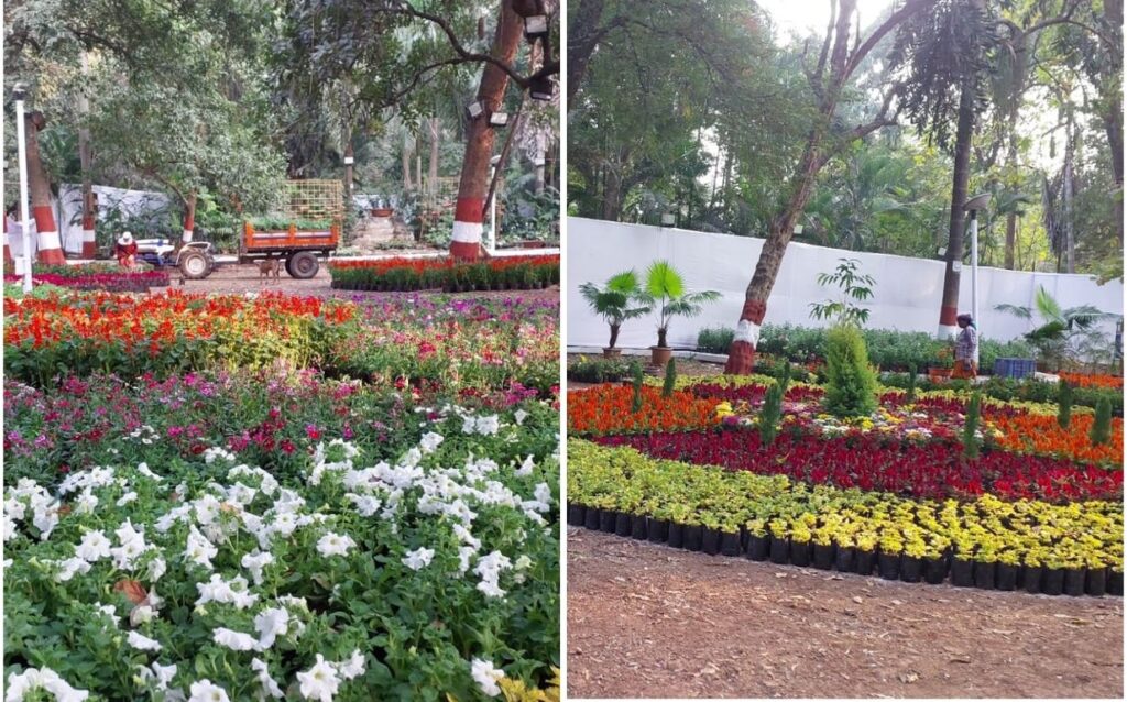 Pune: Empress Botanical Garden Gears Up For Annual Flower Show 2025