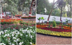 Pune: Empress Botanical Garden Gears Up For Annual Flower Show 2025