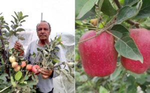 The Apple Man of India, Hariman Sharma Honoured With Padma Shri For His Innovative Low Chilling Variety HRMN - 99 