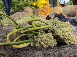 Hurda: Maharashtra’s Winter Delight That Brings Warmth And Tradition