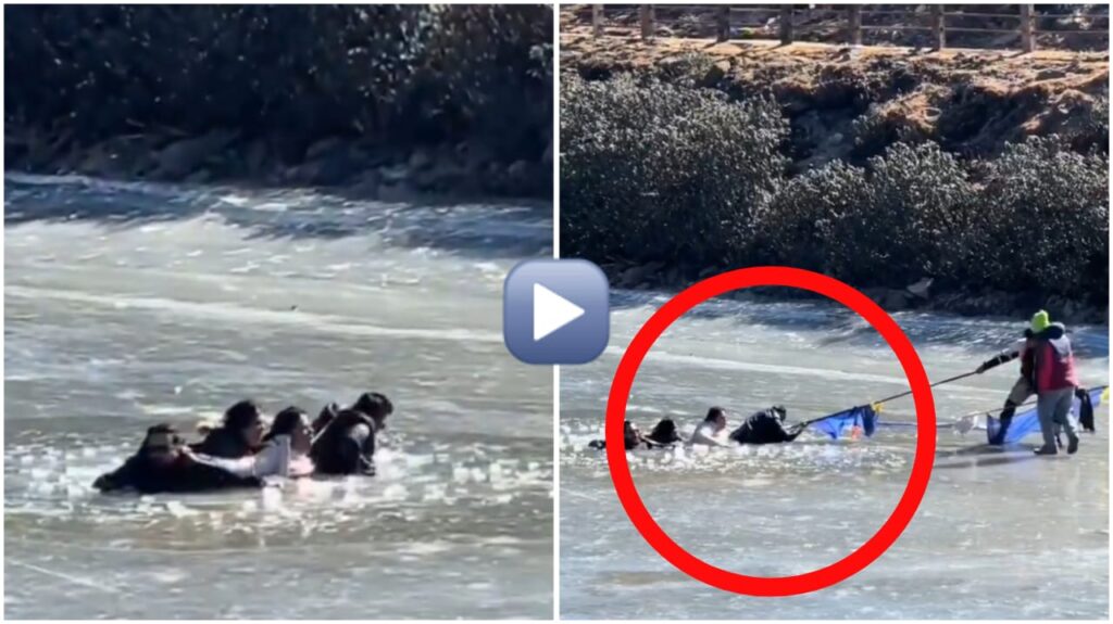 Video: Tourists Fall Into Frozen Lake at Sela Pass, Arunachal Pradesh; Prompt Rescue Averts Major Tragedy