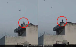 Monkey flying a kite in Varanasi impresses Netizens, Video Trending