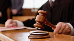 BMC to Bombay High Court: No Flags in Private Housing Societies Without Permission  