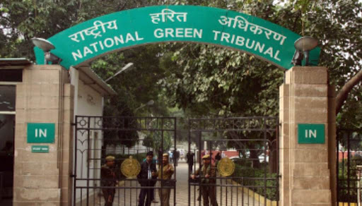Pune: NGT Imposes ₹1.7 Crore Penalty On Builder For Environmental Violations