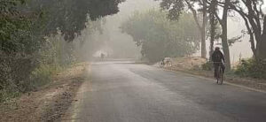 Weather Chaos in Maharashtra Sudden Warmth and Cold Spells Cause Concern