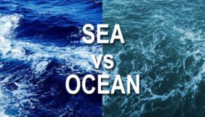 What Sets Seas Apart from Oceans