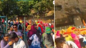 Lonavala: Devotees Attacked By Bees At Aai Ekvira Fort On New Year's Day In Pune