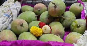 Good News: First Mango of the Season Arrive at Pune's Market Yard, Box Sold for ₹31,000