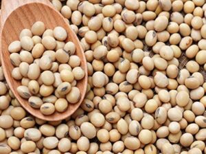 Soybean Procurement Deadline Extended To January 31