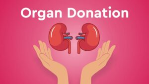 Pune ZTCC Reports Steady Rise In Organ Donations From Brain Stem Death Cases