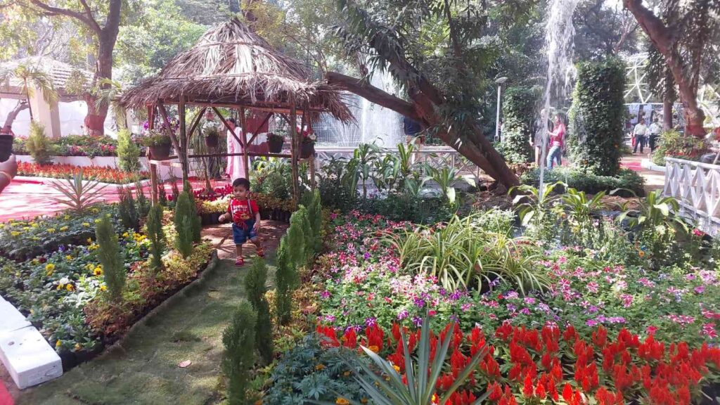 Pune’s Empress Garden Flower Show 2025 Opens For Public