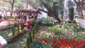 Pune’s Empress Garden Flower Show 2025 Opens For Public