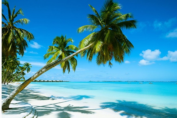 senior-citizen-mauritius-tour31