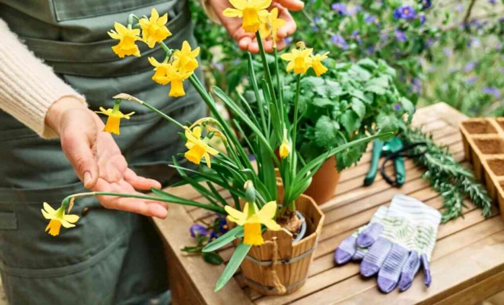 Spring is Near - Time to Plan Your Perfect Garden!