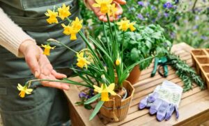 Spring is Near - Time to Plan Your Perfect Garden!