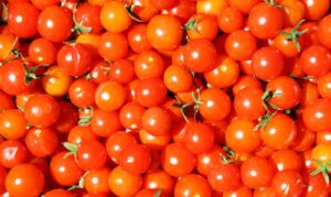 Cherry_tomatoes