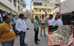 Pune : Kothrud Residents Alarmed As Over 40 Pigs Found Dead, Cause Remains Unknown
