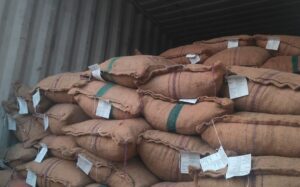 DRI Pune Busts ₹1.47 Cr Areca Nut Smuggling Racket, Six Arrested
