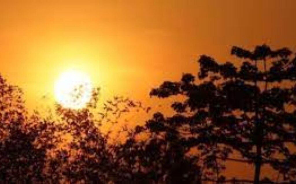 Maharashtra Records First 40°C Temperature of 2025 in Mid-February