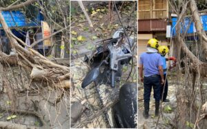 Pune News: Large Tree Falls Near Phadke Haud Chowk, Three Two-Wheelers Damaged