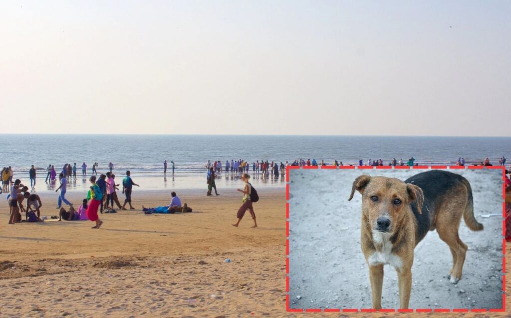 Man Attacked, Thumb Partially Severed Over Dog Chasing Incident At Juhu Chowpatty