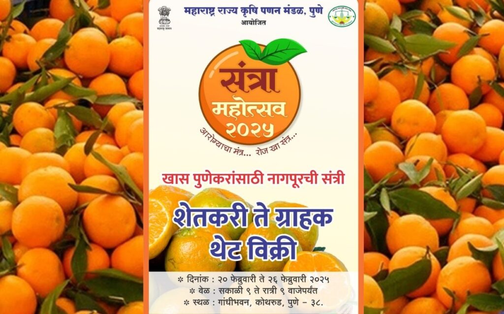 Pune: Orange Festival To Begin In Kothrud From February 20