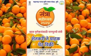 Pune: Orange Festival To Begin In Kothrud From February 20 