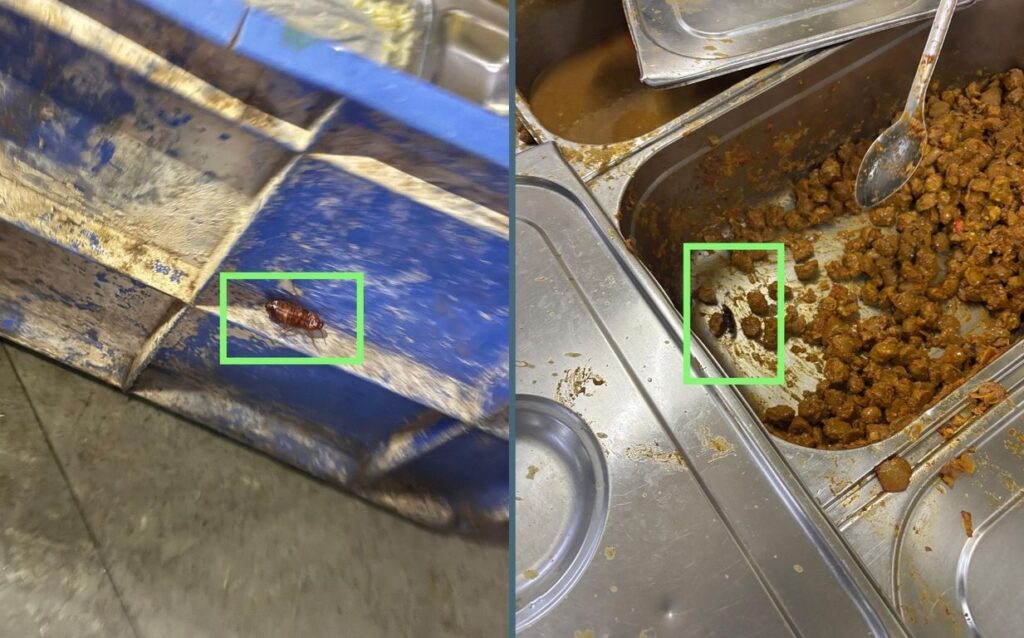 Worms And Cockroaches Found Again In Pune University Mess, Students Call For Permanent ResolutionÂ