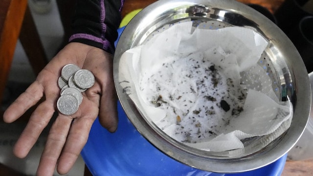 Earn Rs 1.50 for Every Five Mosquitoes Dead or Alive Philippine Village Takes on Dengue with Cash Incentives