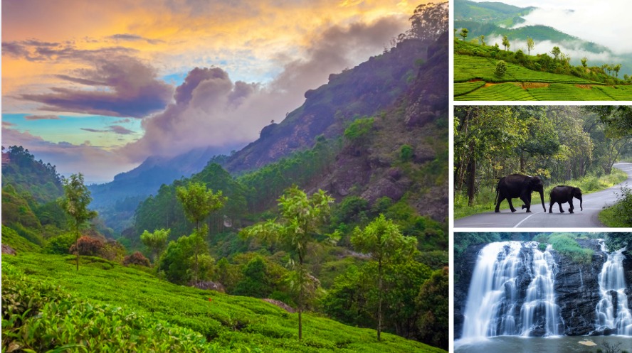 Escape to Nature8 Most Stunning Hill Stations in South India