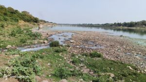 Maharashtra: State Human Rights Commission Takes Action Against Toxic Pollution Of Godavari River